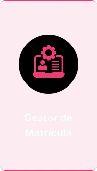 Gestor de matrícula (1)